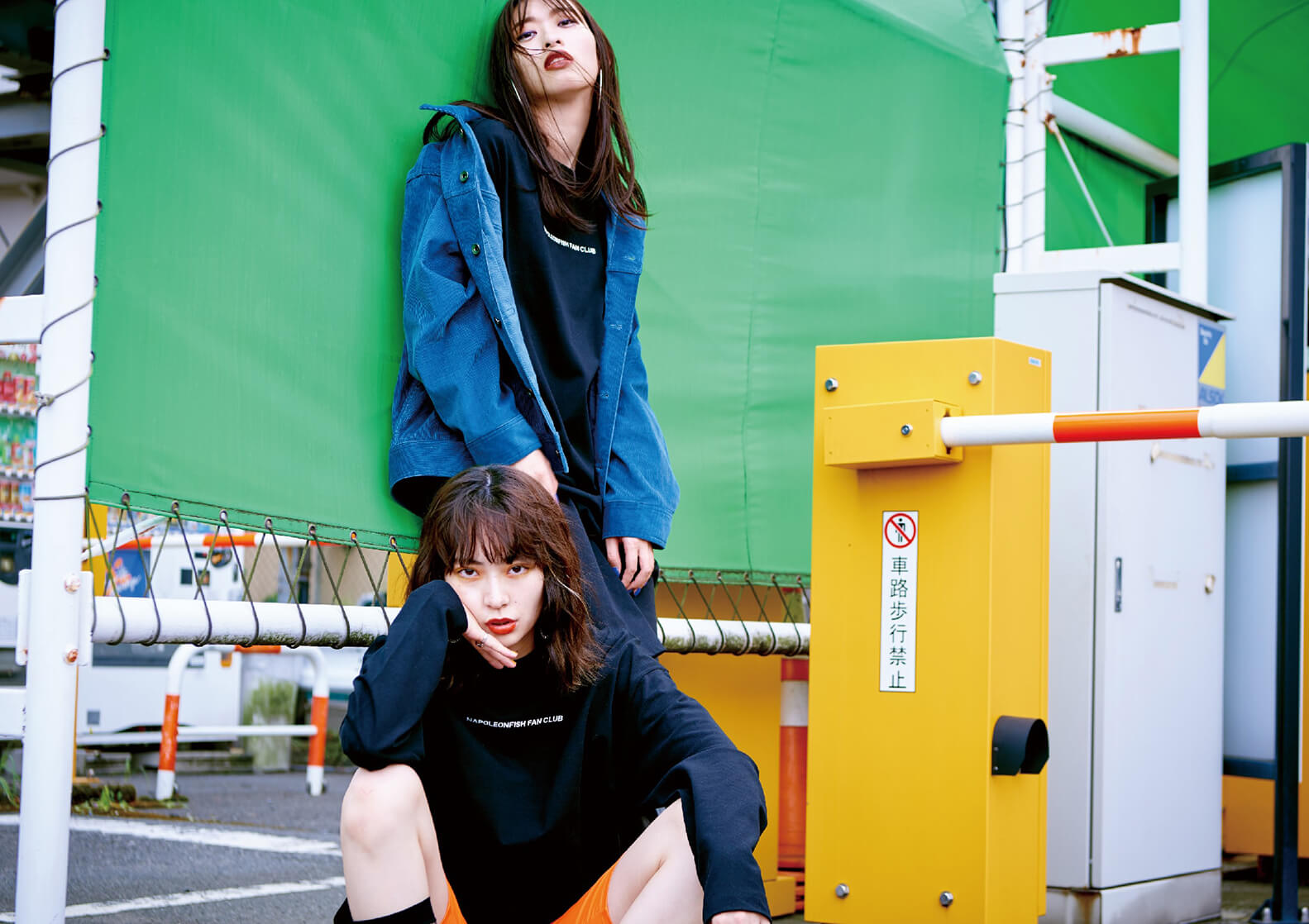 NAPOLEONFISH FAN CLUB_image4