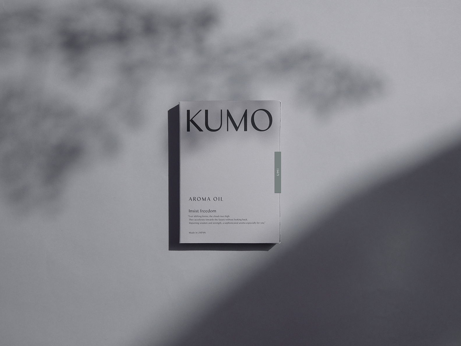 KUMO_image3
