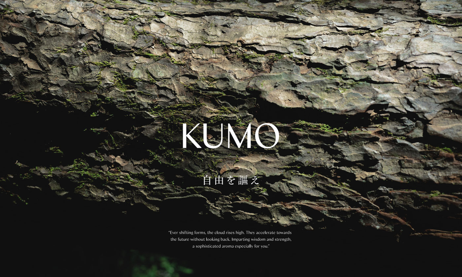 KUMO_image5